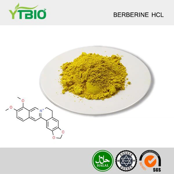 Poudre de berbérine Hcl