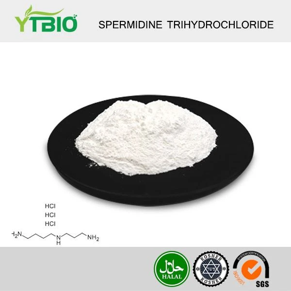 Trichlorhydrate de spermidine