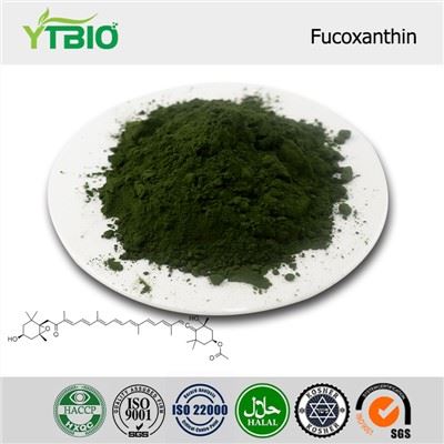 Fucoxanthine en poudre