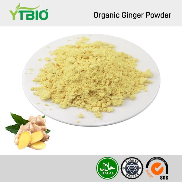 Poudre de Gingembre Bio