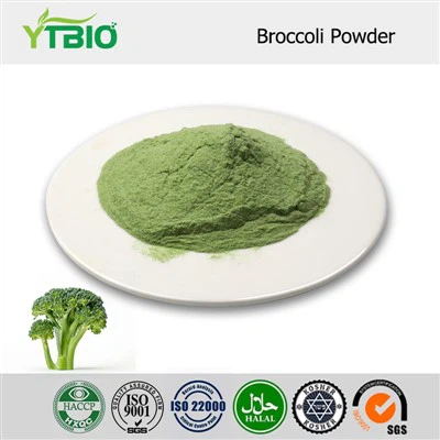 Poudre de brocoli en vrac