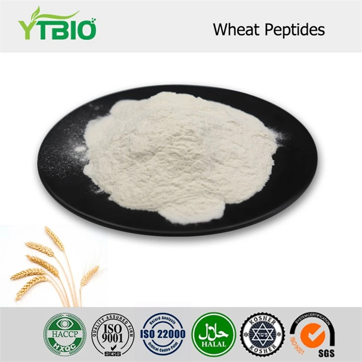 Peptides de blé