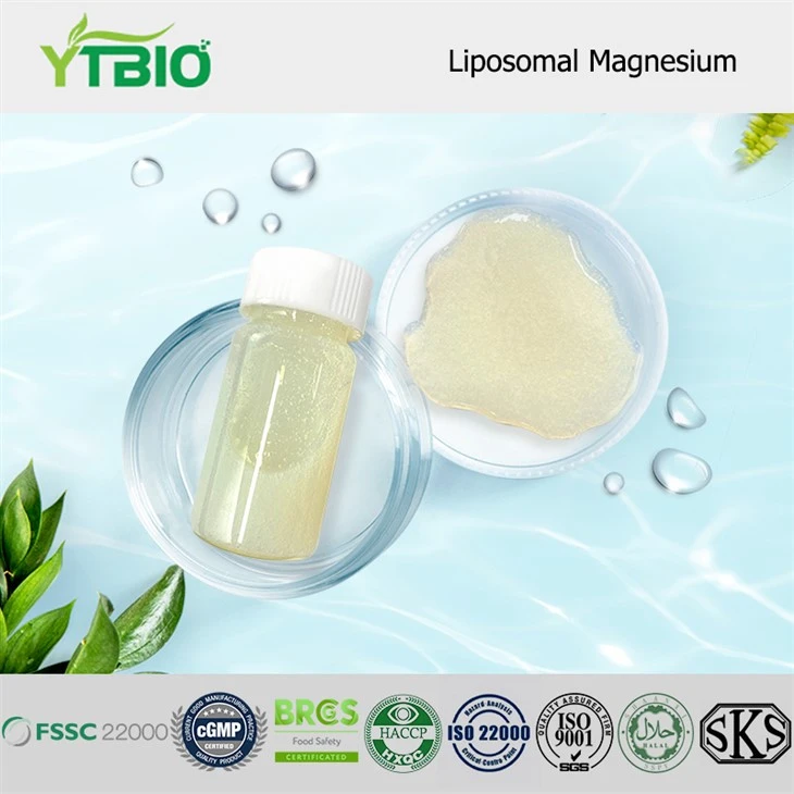 Liposomal Magnesium
