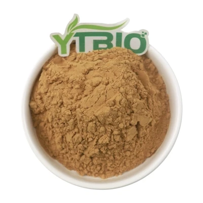 Gynostemma Saponin Vs Extrait de Thé Vert : Qu'est-ce qui réduit le mieux le ...