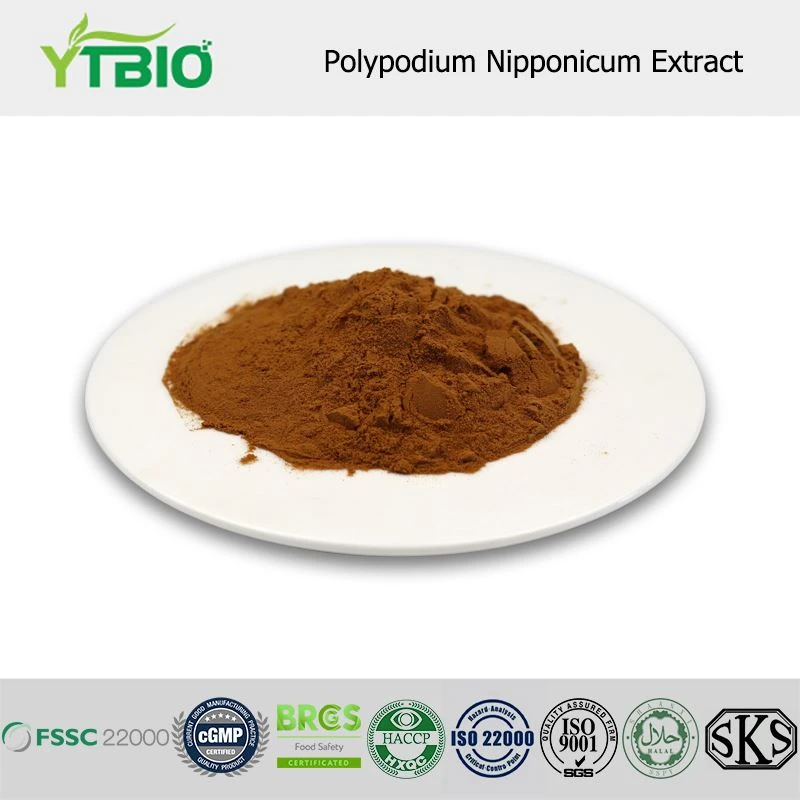 Extrait de Polypodium Nipponicum