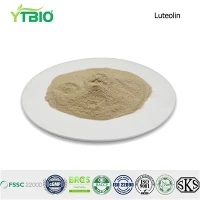 Le 5-HTP est-il bon pour la santé de la peau ?