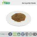 Poudre de concombre de mer